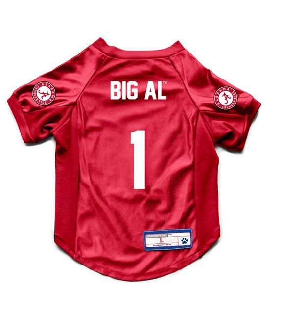 AL LITTLE EARTH PET STRETCH JERSEY