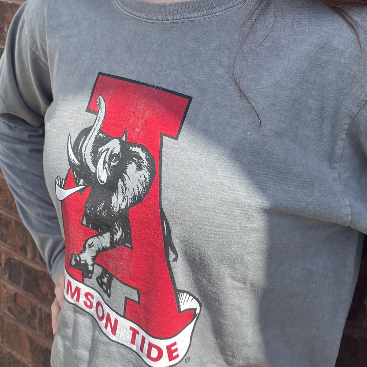 AL RETRO VAULT GREY LONG SLEEVE TEE