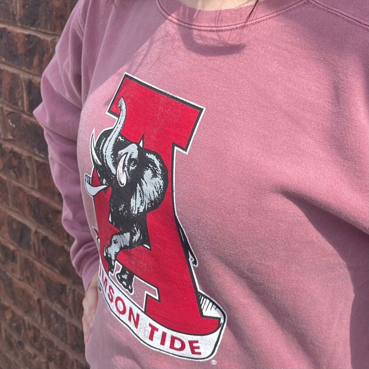 AL RETRO VAULT CRIMSON SWEATSHIRT