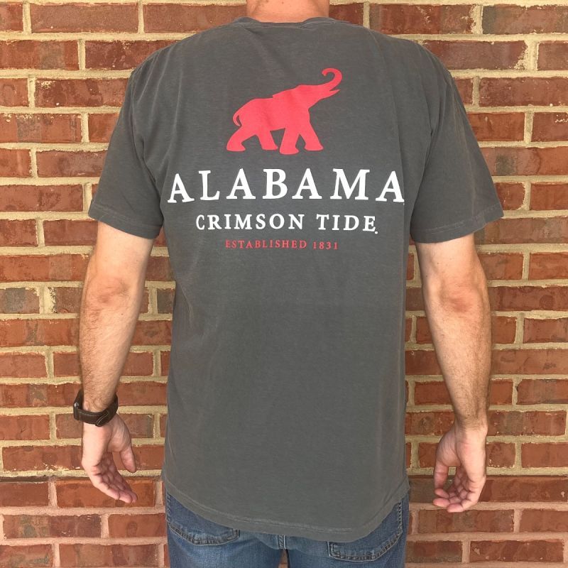 AL LEGEND GREY COMFORT COLORS